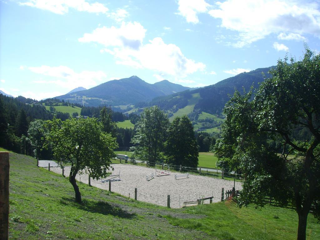 Saumerhof Шладминг Экстерьер фото